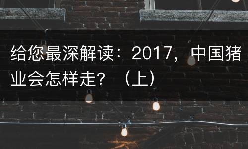 给您最深解读：2017，中国猪业会怎样走？（上）
