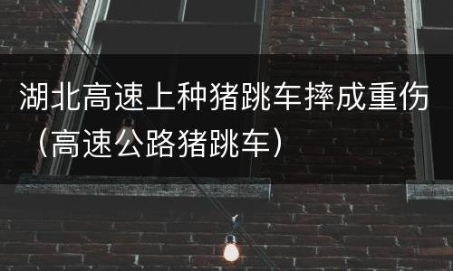 湖北高速上种猪跳车摔成重伤（高速公路猪跳车）