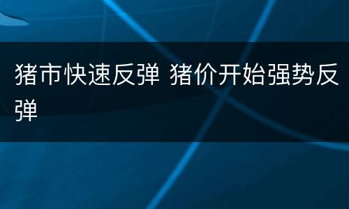 猪市快速反弹 猪价开始强势反弹