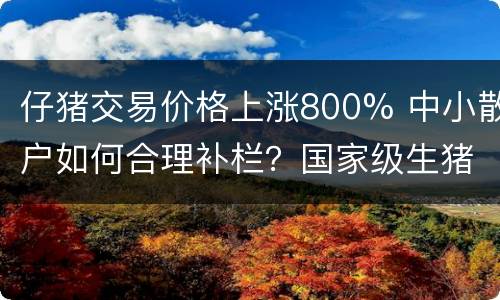仔猪交易价格上涨800% 中小散户如何合理补栏？国家级生猪大数据
