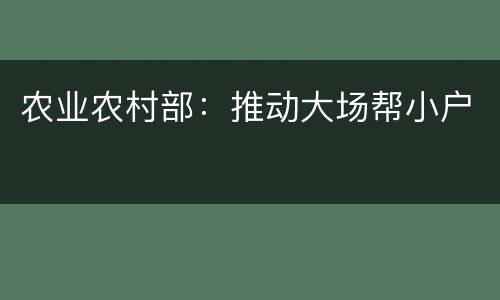 农业农村部：推动大场帮小户