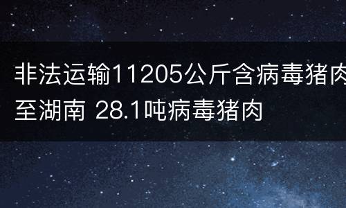 非法运输11205公斤含病毒猪肉至湖南 28.1吨病毒猪肉