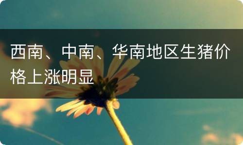 西南、中南、华南地区生猪价格上涨明显