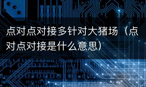 点对点对接多针对大猪场（点对点对接是什么意思）