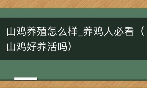 山鸡养殖怎么样_养鸡人必看（山鸡好养活吗）