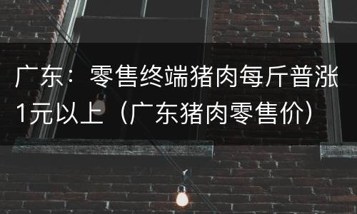 广东：零售终端猪肉每斤普涨1元以上（广东猪肉零售价）