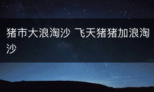 猪市大浪淘沙 飞天猪猪加浪淘沙