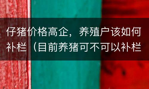 仔猪价格高企，养殖户该如何补栏（目前养猪可不可以补栏）