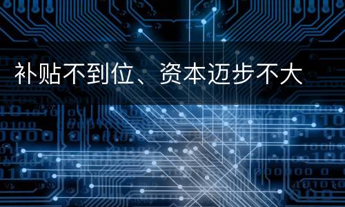 补贴不到位、资本迈步不大