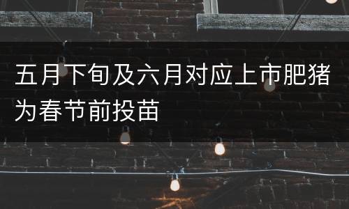 五月下旬及六月对应上市肥猪为春节前投苗