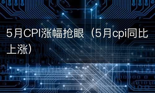 5月CPI涨幅抢眼（5月cpi同比上涨）
