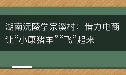 湖南沅陵学宗溪村：借力电商让“小康猪羊”“飞”起来