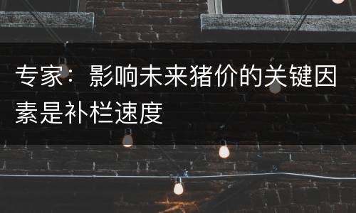 专家：影响未来猪价的关键因素是补栏速度