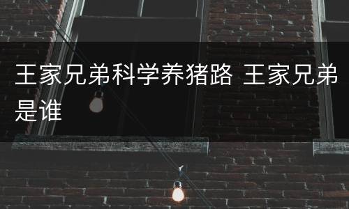 王家兄弟科学养猪路 王家兄弟是谁