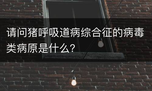 请问猪呼吸道病综合征的病毒类病原是什么？