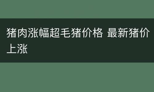猪肉涨幅超毛猪价格 最新猪价上涨