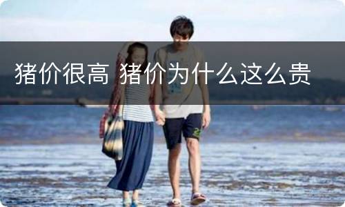 猪价很高 猪价为什么这么贵