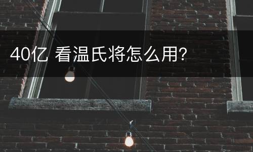 40亿 看温氏将怎么用？