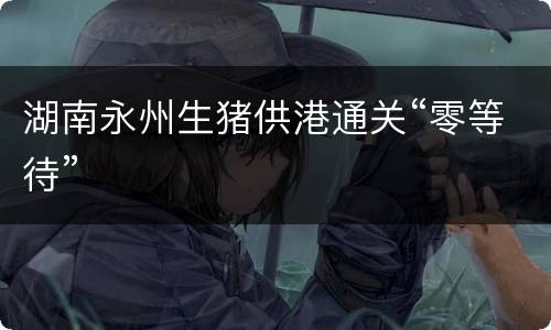 湖南永州生猪供港通关“零等待”