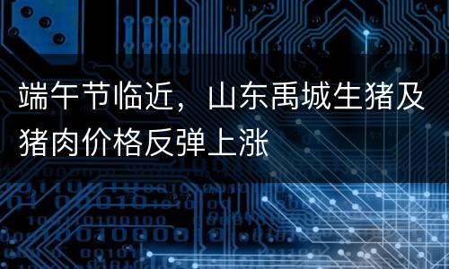 端午节临近，山东禹城生猪及猪肉价格反弹上涨