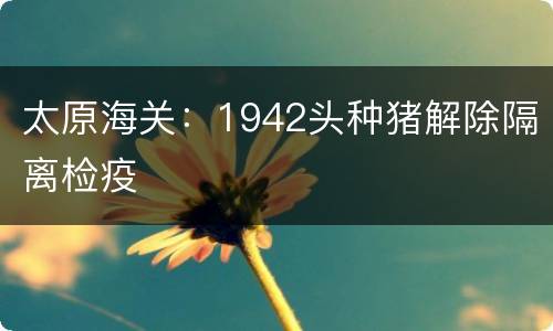 太原海关：1942头种猪解除隔离检疫