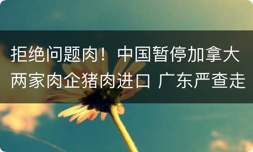 拒绝问题肉！中国暂停加拿大两家肉企猪肉进口 广东严查走私冻品