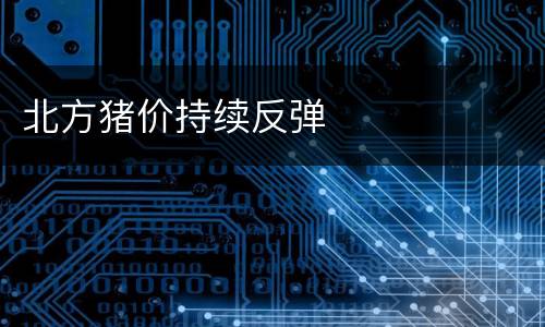 北方猪价持续反弹