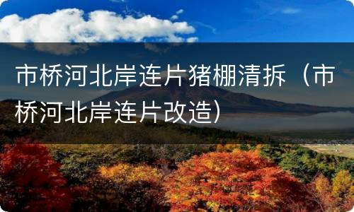市桥河北岸连片猪棚清拆（市桥河北岸连片改造）