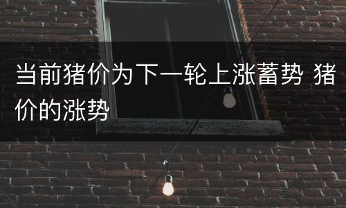 当前猪价为下一轮上涨蓄势 猪价的涨势