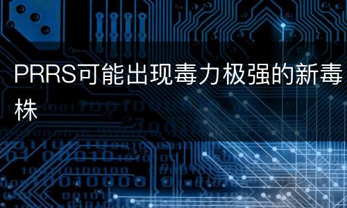 PRRS可能出现毒力极强的新毒株