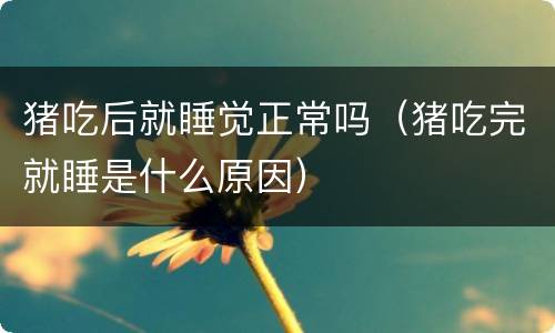 猪吃后就睡觉正常吗（猪吃完就睡是什么原因）