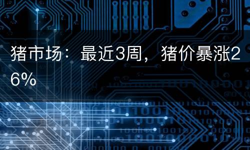 猪市场：最近3周，猪价暴涨26%