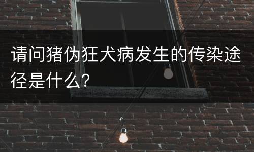 请问猪伪狂犬病发生的传染途径是什么？