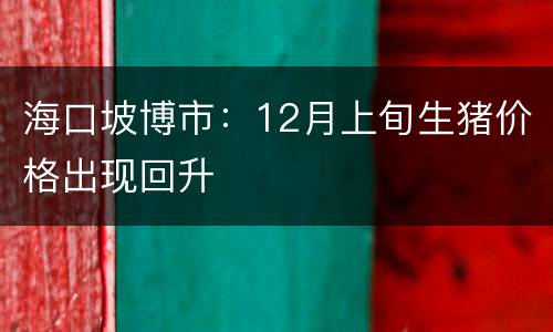 海口坡博市：12月上旬生猪价格出现回升