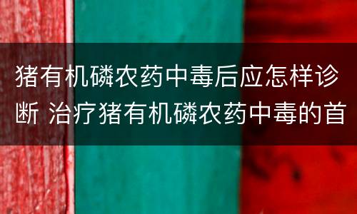 猪有机磷农药中毒后应怎样诊断 治疗猪有机磷农药中毒的首选药是