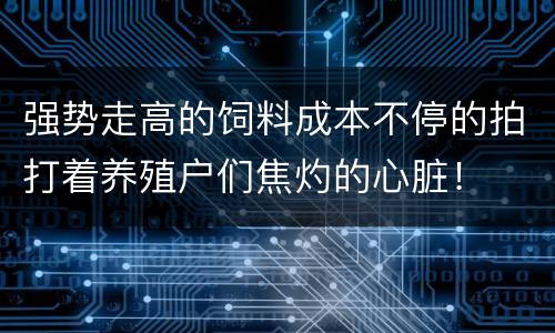 强势走高的饲料成本不停的拍打着养殖户们焦灼的心脏！