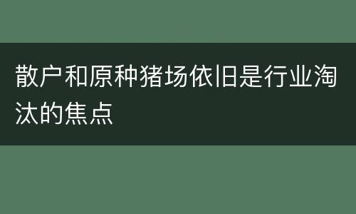 散户和原种猪场依旧是行业淘汰的焦点