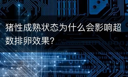 猪性成熟状态为什么会影响超数排卵效果？