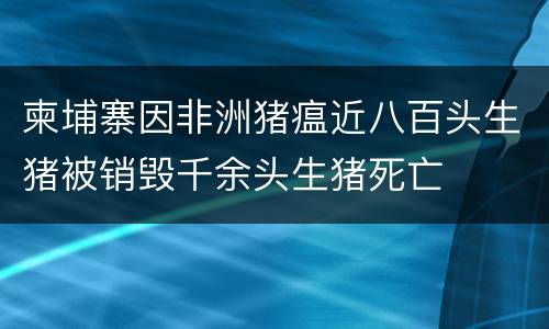 柬埔寨因非洲猪瘟近八百头生猪被销毁千余头生猪死亡
