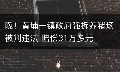 曝！黄埔一镇政府强拆养猪场被判违法 赔偿31万多元