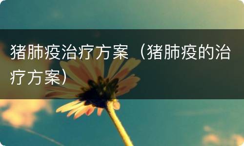 猪肺疫治疗方案（猪肺疫的治疗方案）