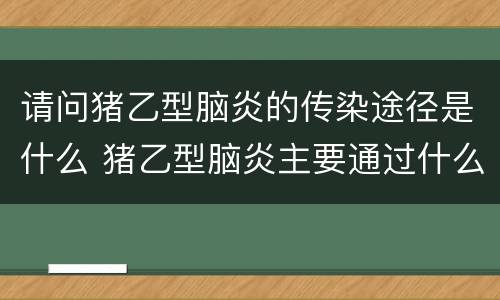 请问猪乙型脑炎的传染途径是什么 猪乙型脑炎主要通过什么传播