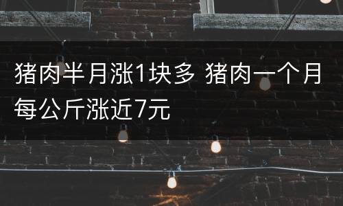 猪肉半月涨1块多 猪肉一个月每公斤涨近7元