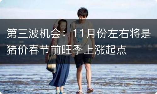 第三波机会：11月份左右将是猪价春节前旺季上涨起点