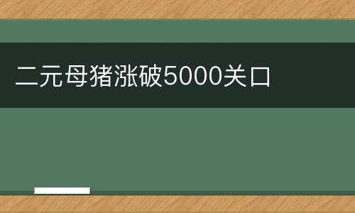 二元母猪涨破5000关口