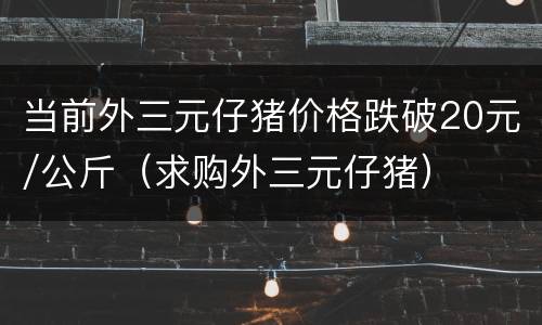当前外三元仔猪价格跌破20元/公斤（求购外三元仔猪）