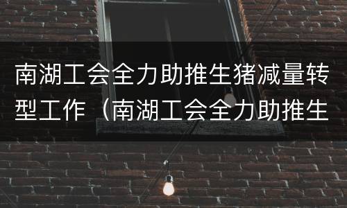 南湖工会全力助推生猪减量转型工作（南湖工会全力助推生猪减量转型工作）