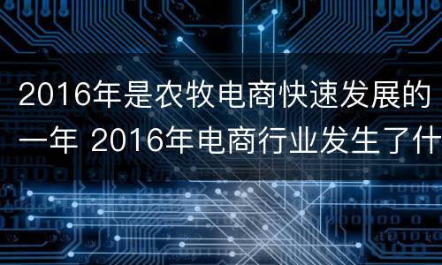 2016年是农牧电商快速发展的一年 2016年电商行业发生了什么变化