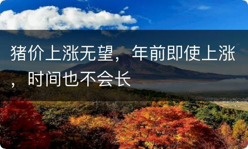 猪价上涨无望，年前即使上涨，时间也不会长