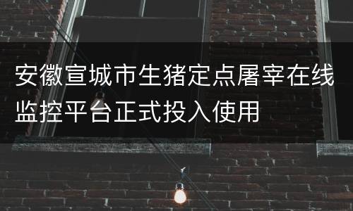 安徽宣城市生猪定点屠宰在线监控平台正式投入使用